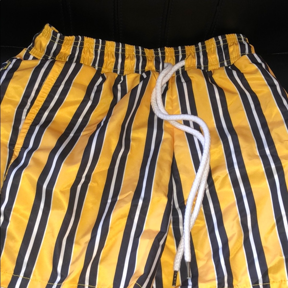 Striped Swim Trunks